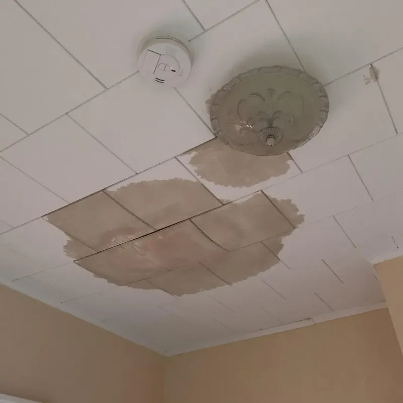 Ceiling Water Damage Repair in La Vernia, TX