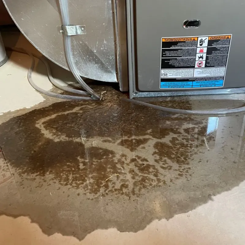 Pipe Burst and Leak Restoration in La Vernia, TX
