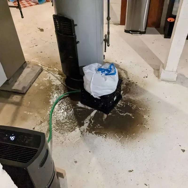 Sewage Backup Cleanup Service in La Vernia, TX